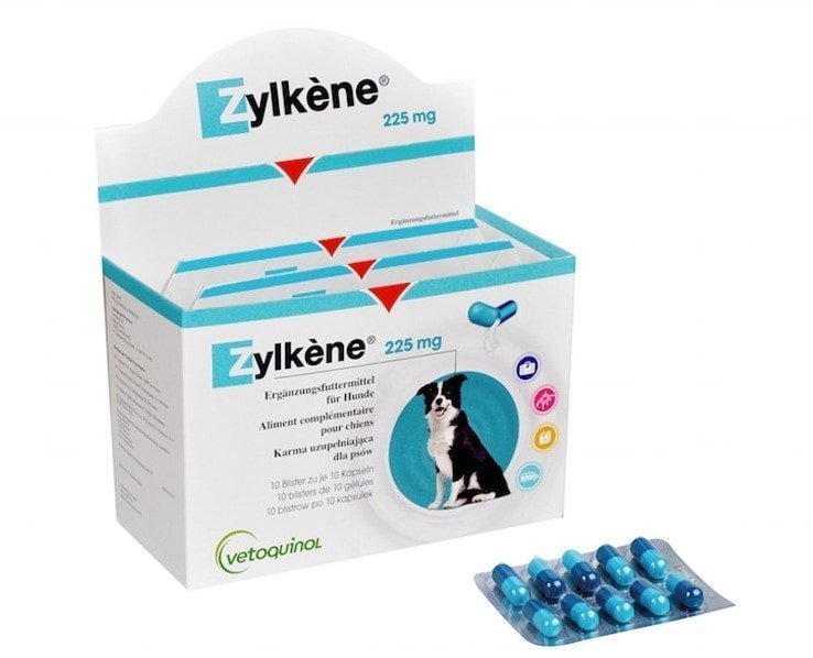Zylkene Tranquilizante natural para perros y gatos.