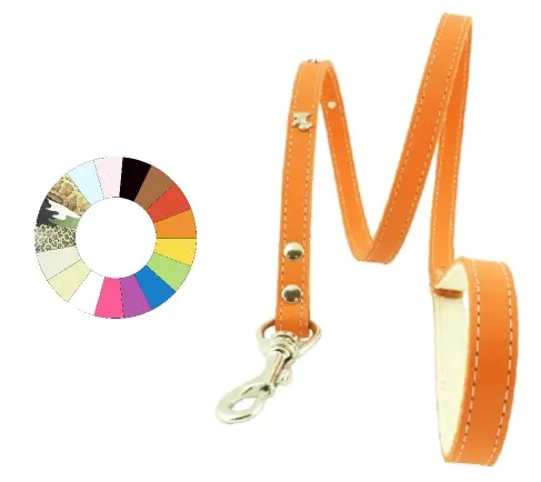 Correa de Paseo Westy Fucsia Larga y Resistente para Mascotas