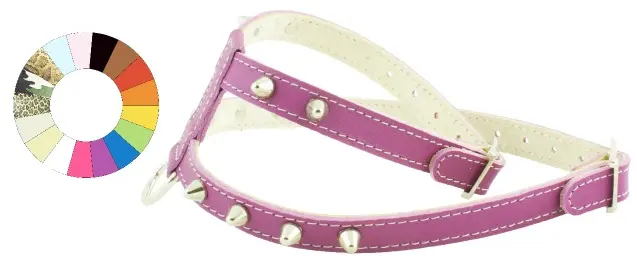 Arnés de Seguridad Little CO1F PT A14 C250/14-20 P400/29-35: Protección y Confort Óptimos