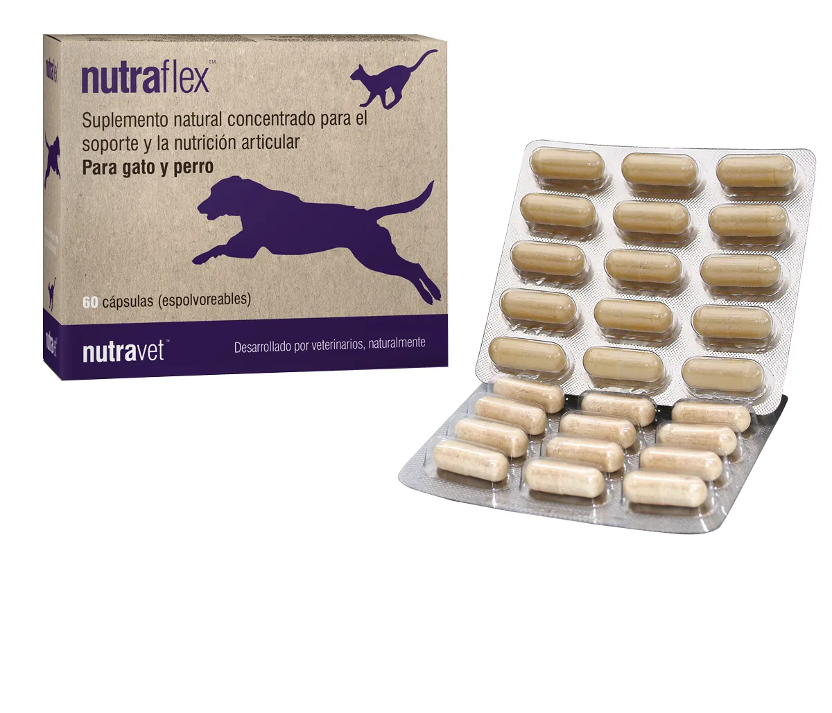 NUTRAFLEX (60 COMP.) 68G